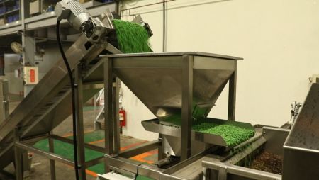 5. Quantitative Feeding